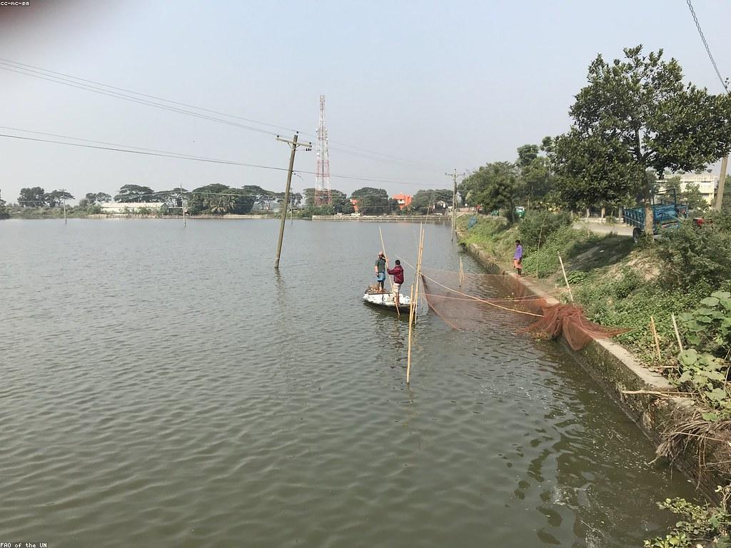 ការបង្ហាញពីការបាញ់ត្រី: ជំនាញ និងបច្ចេកទេស