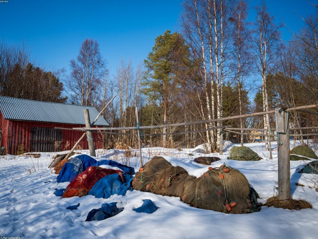 ឧបករណ៍សម្រាប់បាញ់ត្រី: ជម្រើសនិងយុទ្ធសាស្ត្រថ្មី