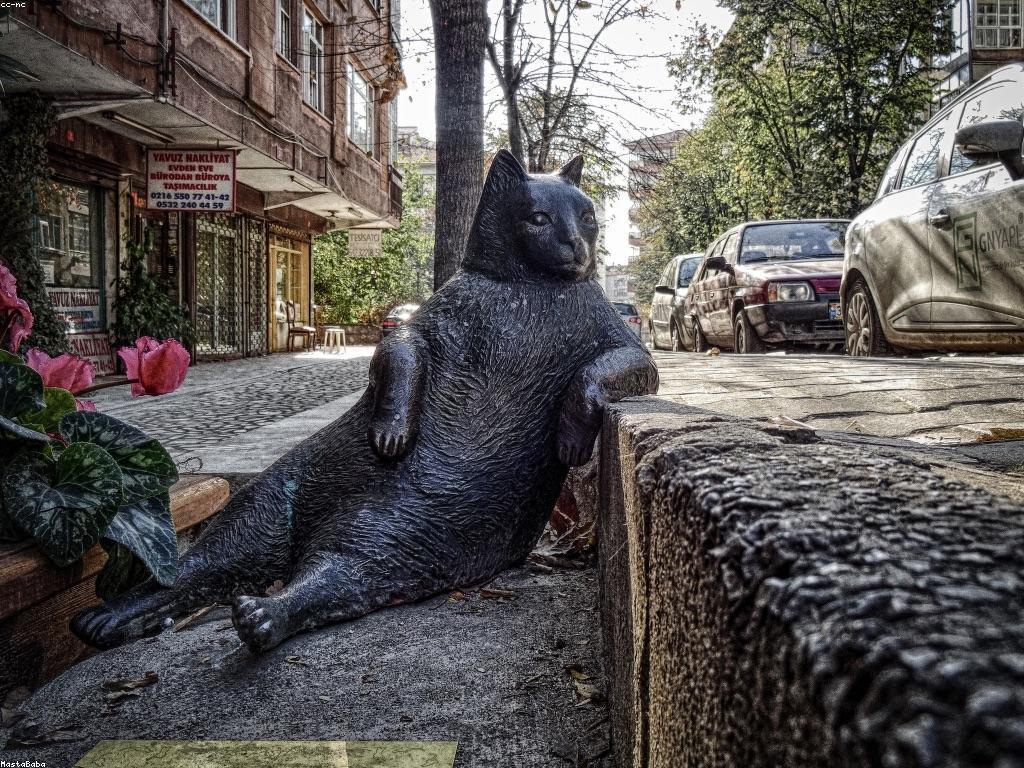 យុទ្ធសាស្ត្របាញ់ត្រី: បច្ចេកទេសការប្រើប្រាស់ឧបករណ៍