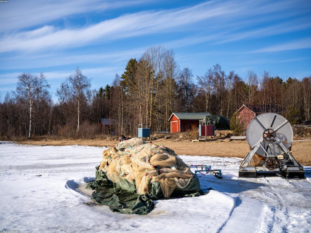 ឧបករណ៍បន្ថែមសម្រាប់បាញ់ត្រី