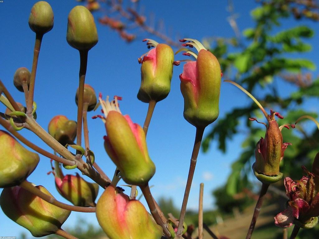 ឧបករណ៍សម្រាប់បាញ់ត្រី: ជម្រើសនិងយុទ្ធសាស្ត្រថ្មី